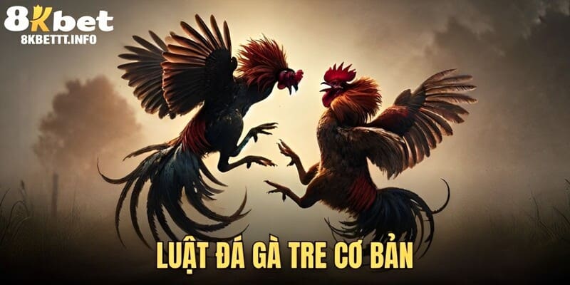 Luật cá cược đá gà tre cụ thể mà bạn cần nắm rõ