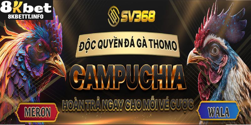 Ưu điểm tạo nên sức hút của sảnh 