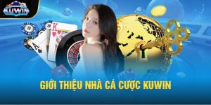 Thông tin tổng quan về thương hiệu cược uy tín